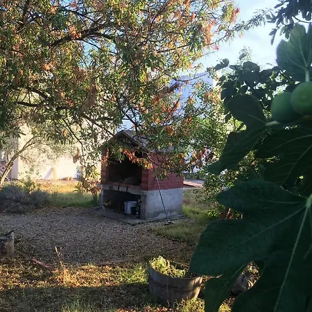 Apartment By The Sea Dobropoljana, - 17541 Pasman